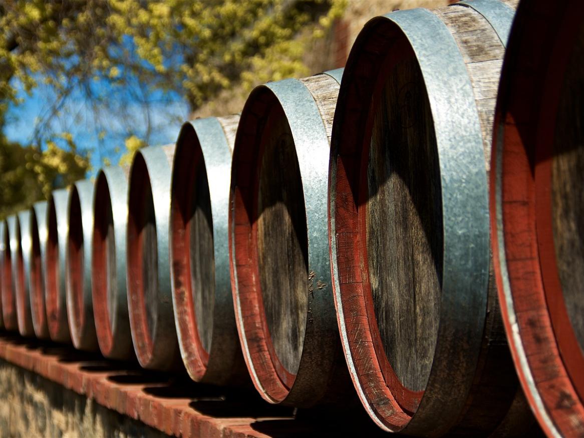 Wine barrels in a vineyard