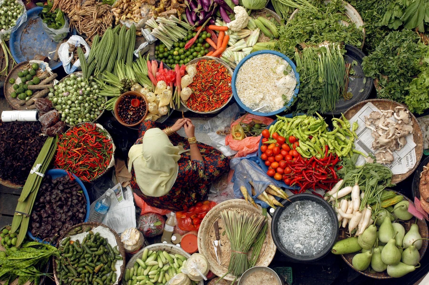 Global Food