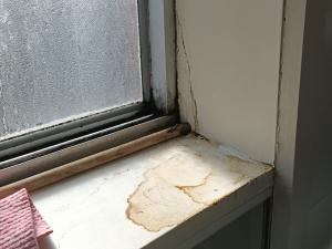 Photos show damage to internal walls, cupboards and window frame, and fungus growing from vent –from pipe water leak in above apartment; also condensation problem on window from lack of ventilation in apartment.