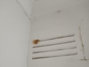 Photos show damage to internal walls, cupboards and window frame, and fungus growing from vent –from pipe water leak in above apartment; also condensation problem on window from lack of ventilation in apartment.