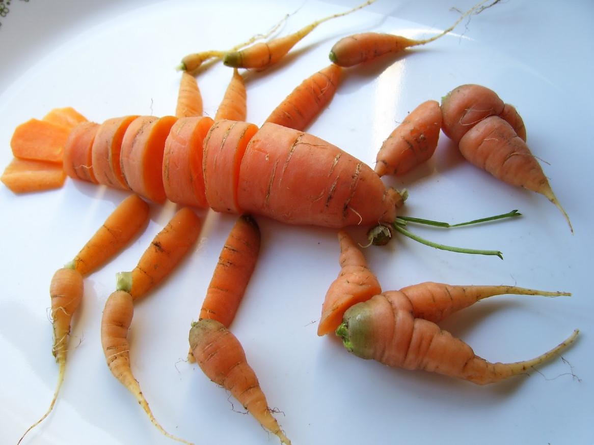 carrots