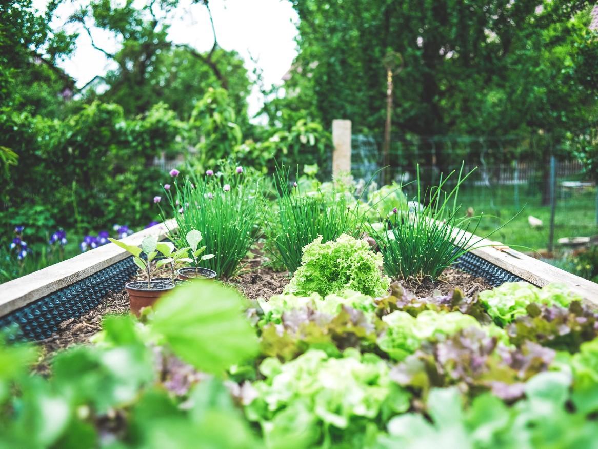 gardening