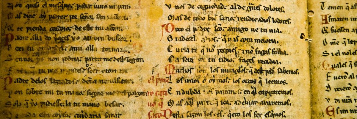 linguistics-university-of-adelaide