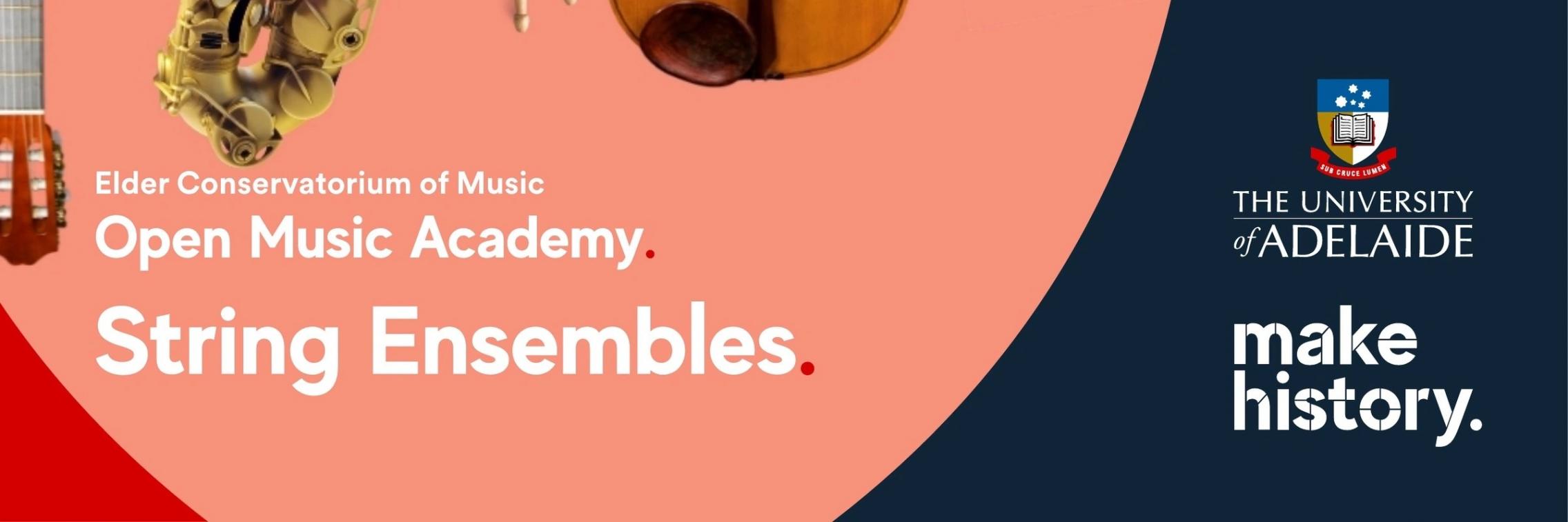 Open Music Academy String Ensembles 2024