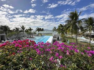 Australian Festival of Chamber Music, Townsville