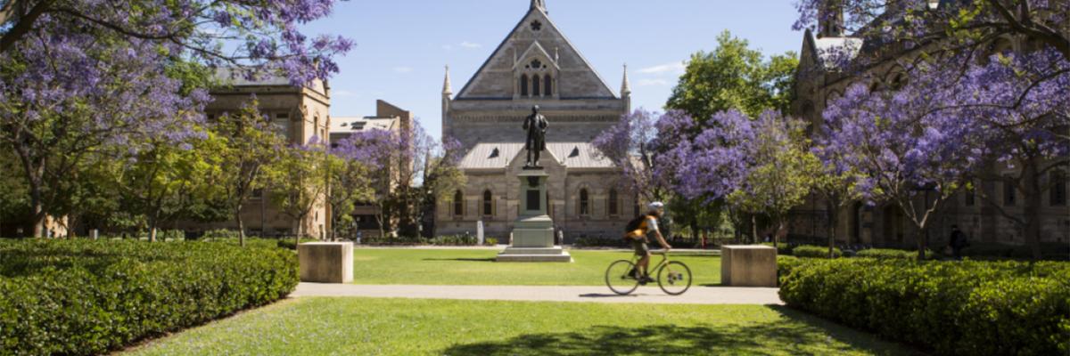 Elder Hall from Goodman crescent