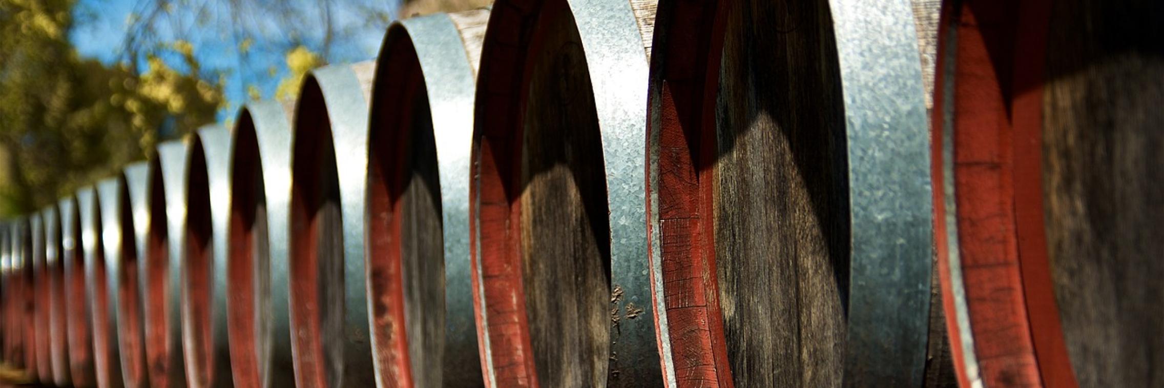 Wine barrels in a vineyard