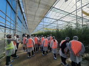 A group of Agribusiness students out and about on a study trip