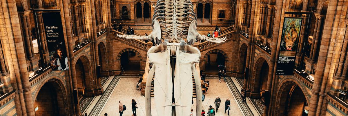 natural-history-musuem