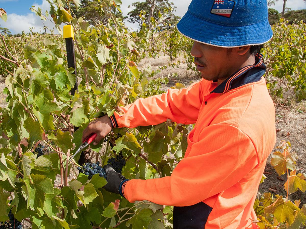 migrant worker