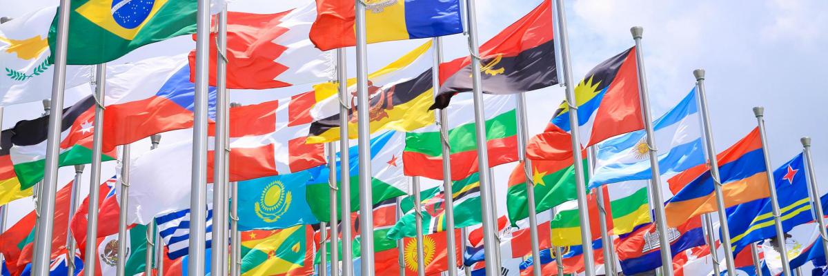 politics-and-international-relations-university-of-adelaide
