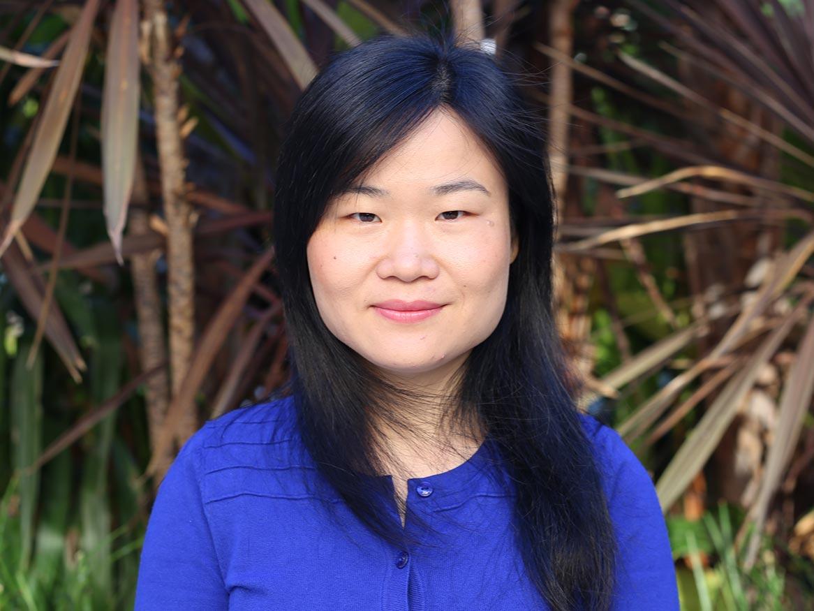 Dr Hong Cai